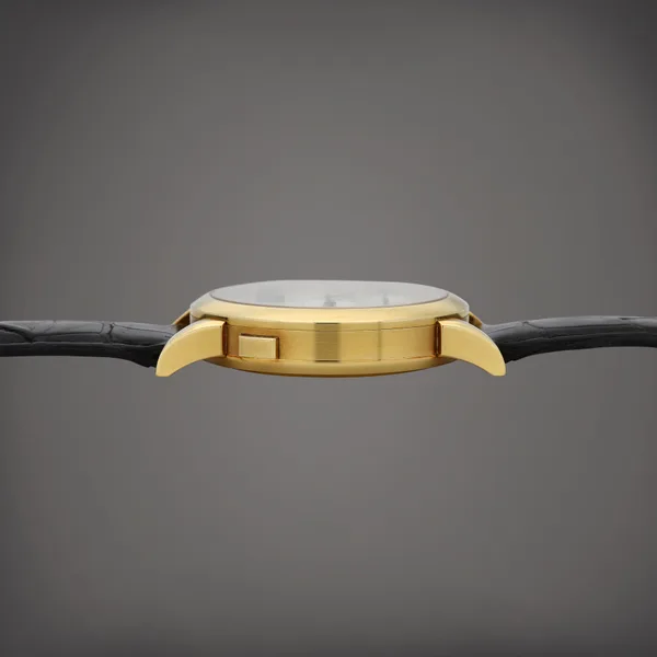 A. Lange & Söhne LANGE 1 Ref. 101.002, case profile, source example 1